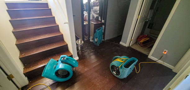 Best Sewage cleanup and water damage restoration  in Bunker Hill Village, TX