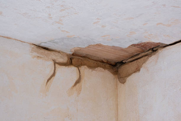 Best Water damage cleanup near me  in Bunker Hill Village, TX