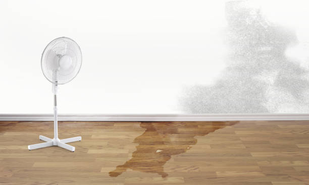 Best Water damage repair service  in Bunker Hill Village, TX