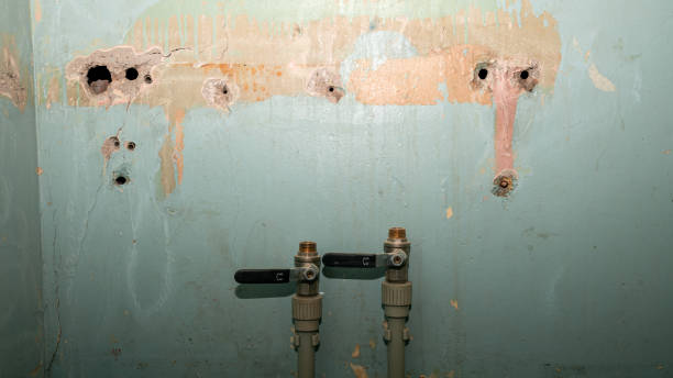 Water damage restoration mold remediation in TX